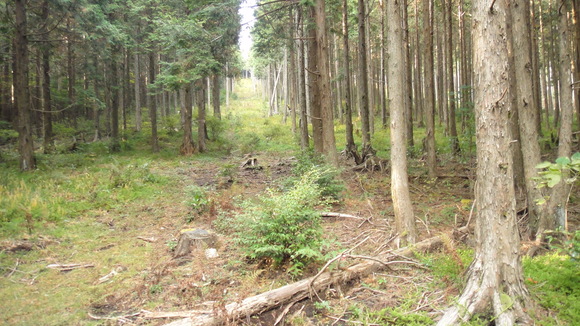 f0036700_13292527.jpg