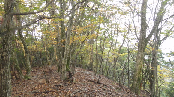 紅葉の霧島連山縦走_f0036700_13313595.jpg