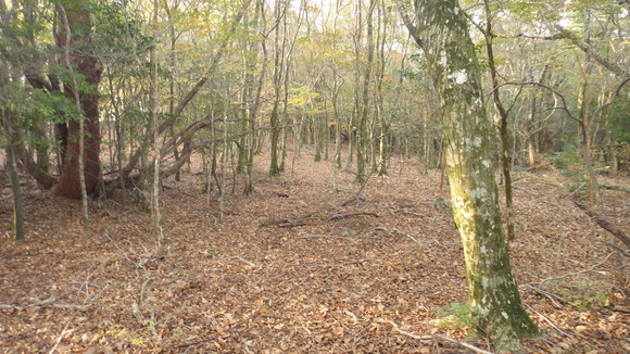 f0036700_13944.jpg
