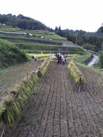 c0008801_14171296.jpg