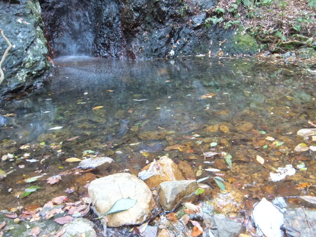 a0271502_8483117.jpg