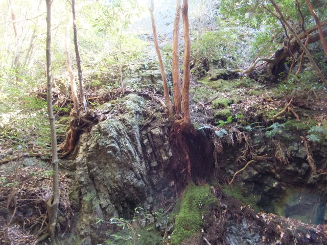 a0271502_92464.jpg