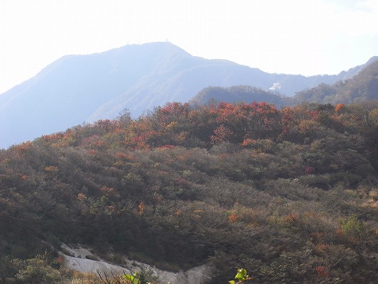f0187402_21104558.jpg