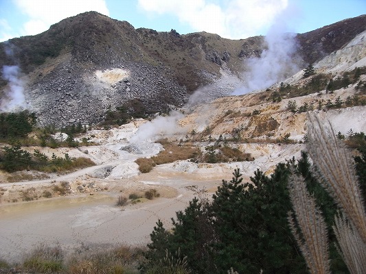 f0187402_211195.jpg