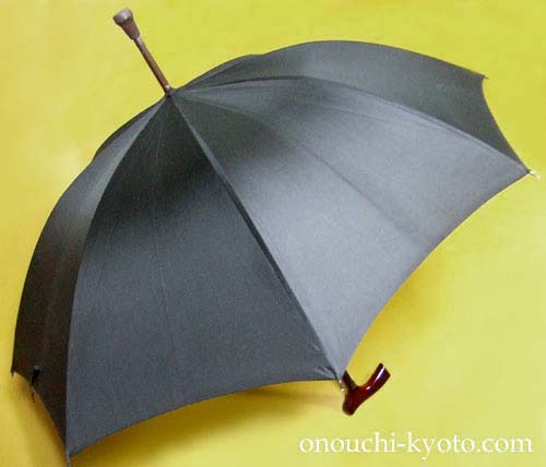 気分が晴れる傘に変身した「ステッキ雨傘」_f0184004_14452114.jpg