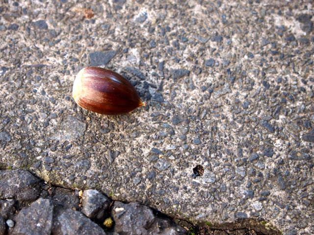 a0230008_0383657.jpg