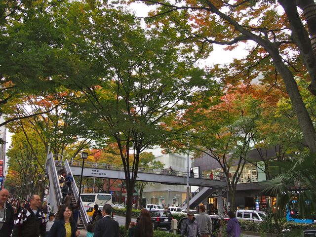 a0230008_1305167.jpg