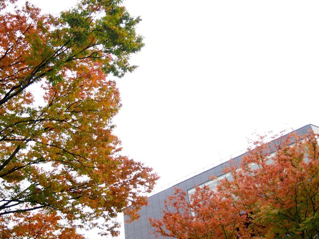 a0230008_1305910.jpg