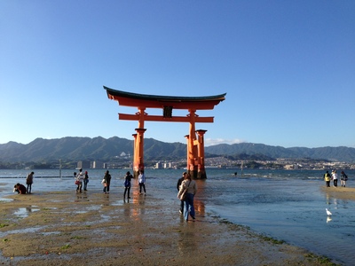 b0140908_12465525.jpg