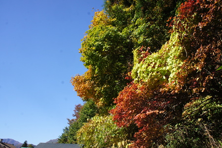 b0166909_23172948.jpg