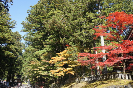 b0166909_23353269.jpg