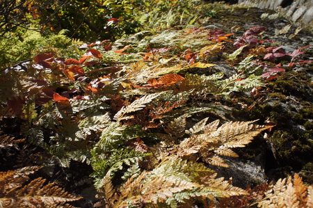b0166909_2336228.jpg