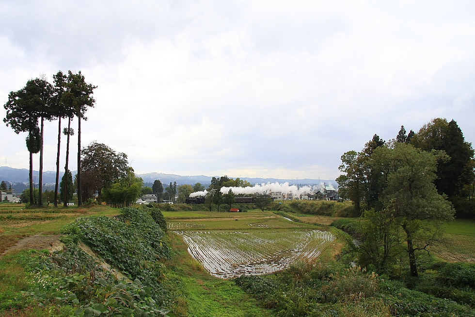 里に白煙なびかせて　- 2012年秋・飯山線 -  _b0190710_22154983.jpg