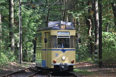 e0038811_517728.jpg
