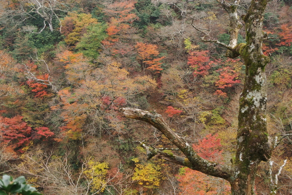 f0218012_2128698.jpg