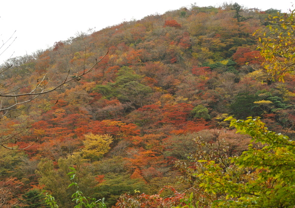 f0218012_21422413.jpg