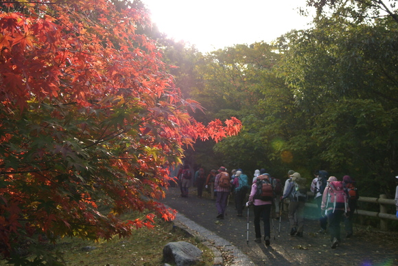 いただき山行日記＾＾♪１１月特別例会編_f0218012_84470.jpg