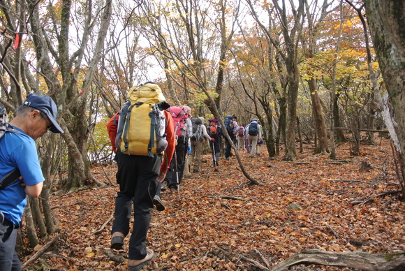 いただき山行日記＾＾♪１１月特別例会編_f0218012_8884.jpg