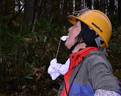 c0173813_2231353.jpg