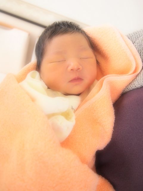 a0151615_21162636.jpg