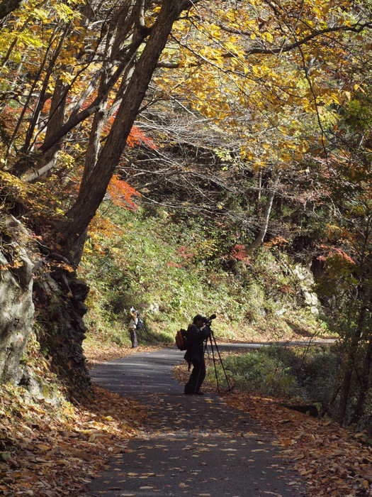 ｢紅葉の吉和を撮ろう｣その３_c0116915_23582716.jpg