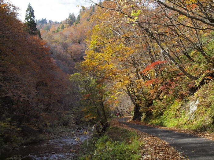 ｢紅葉の吉和を撮ろう｣その３_c0116915_23594543.jpg