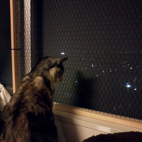 猫の室内飼いの工夫 窓からの転落防止柵diy 賃貸ネコ暮らし 賃貸住宅でネコを室内飼いする工夫 猫の室内飼いの工夫 窓からの転落防止柵diy 賃貸ネコ暮らし 賃貸住宅でネコを室内飼いする工夫
