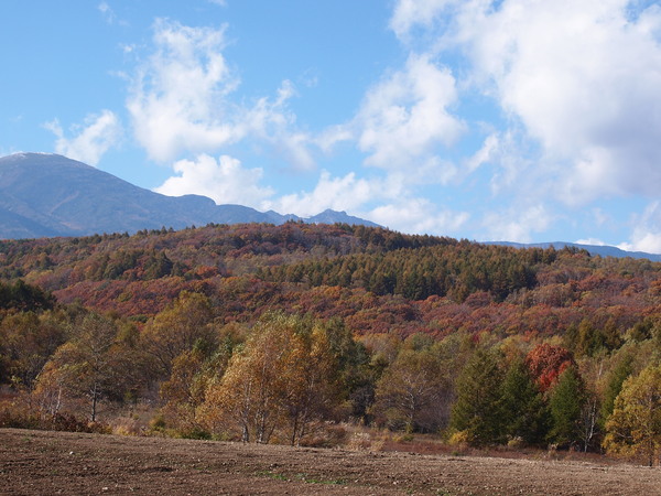 晩秋の風景_d0183417_23193295.jpg