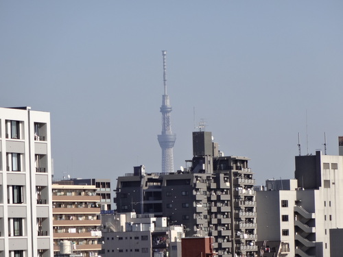 a0244318_11285875.jpg
