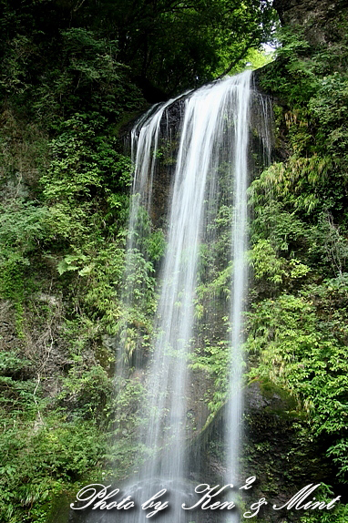 e0218518_1133261.jpg
