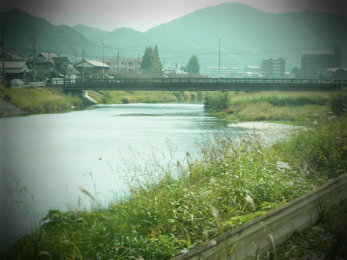 a0125419_1434547.jpg