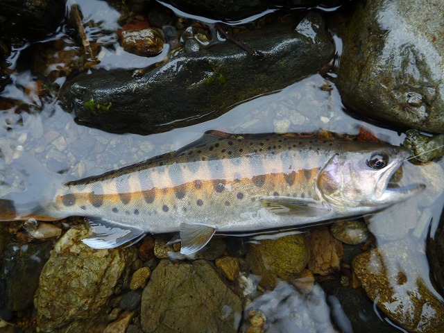 d0227723_21595585.jpg