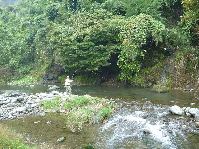 d0227723_2235791.jpg