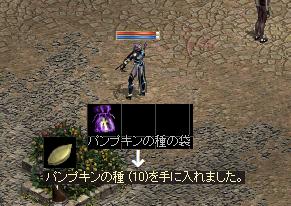 a0289625_9455450.jpg