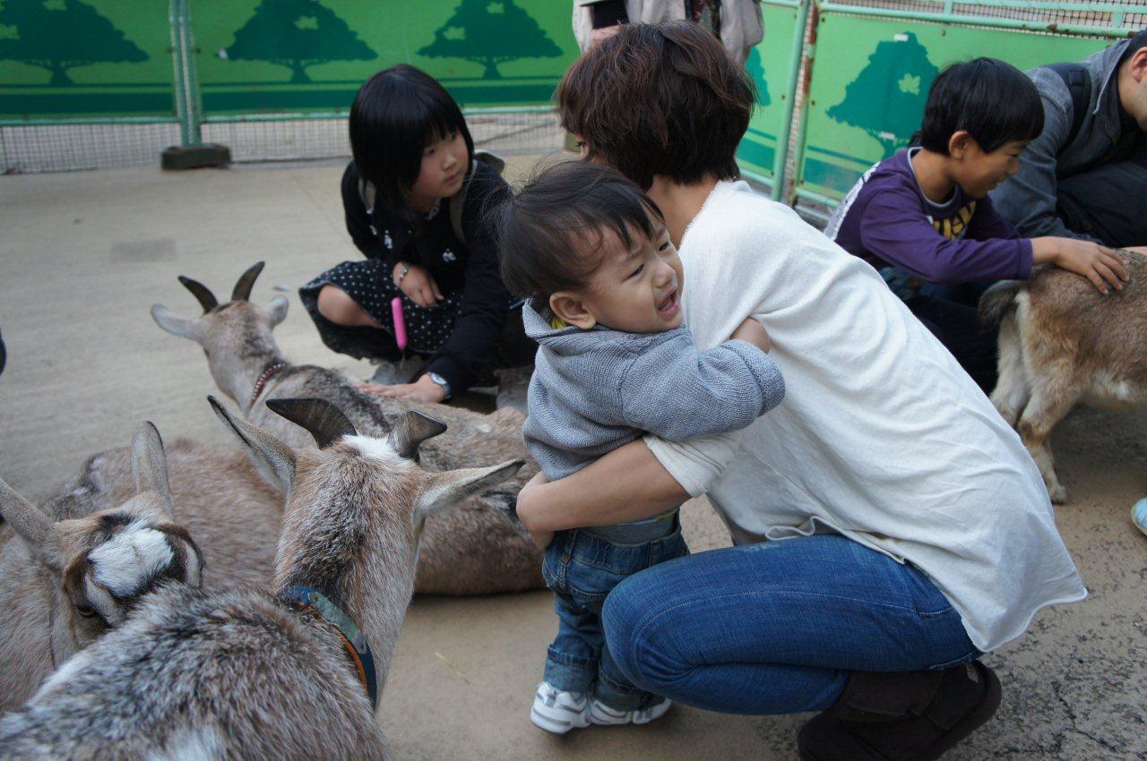 動物園デビュー!_e0253026_0212147.jpg
