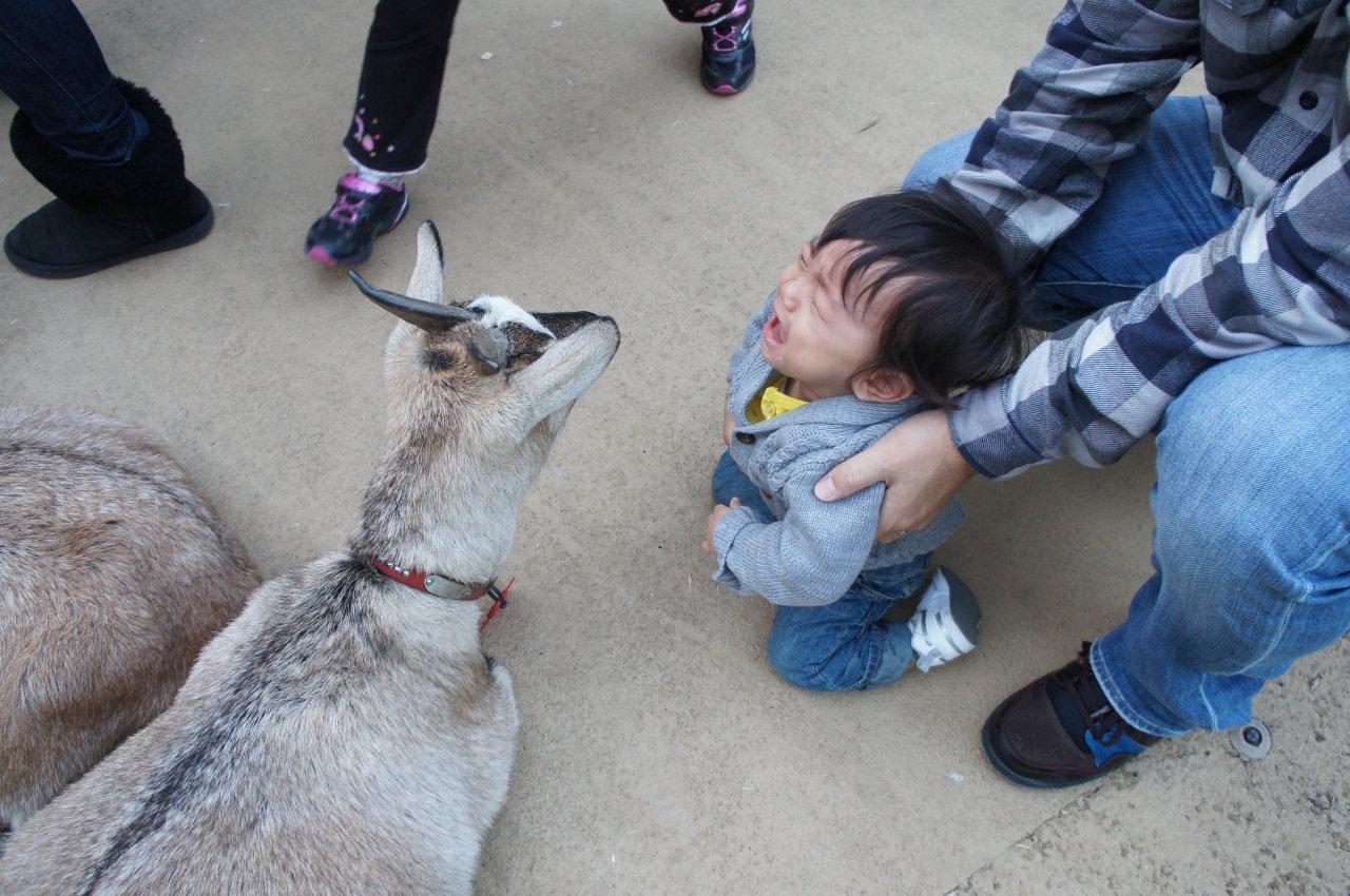 動物園デビュー!_e0253026_0212859.jpg