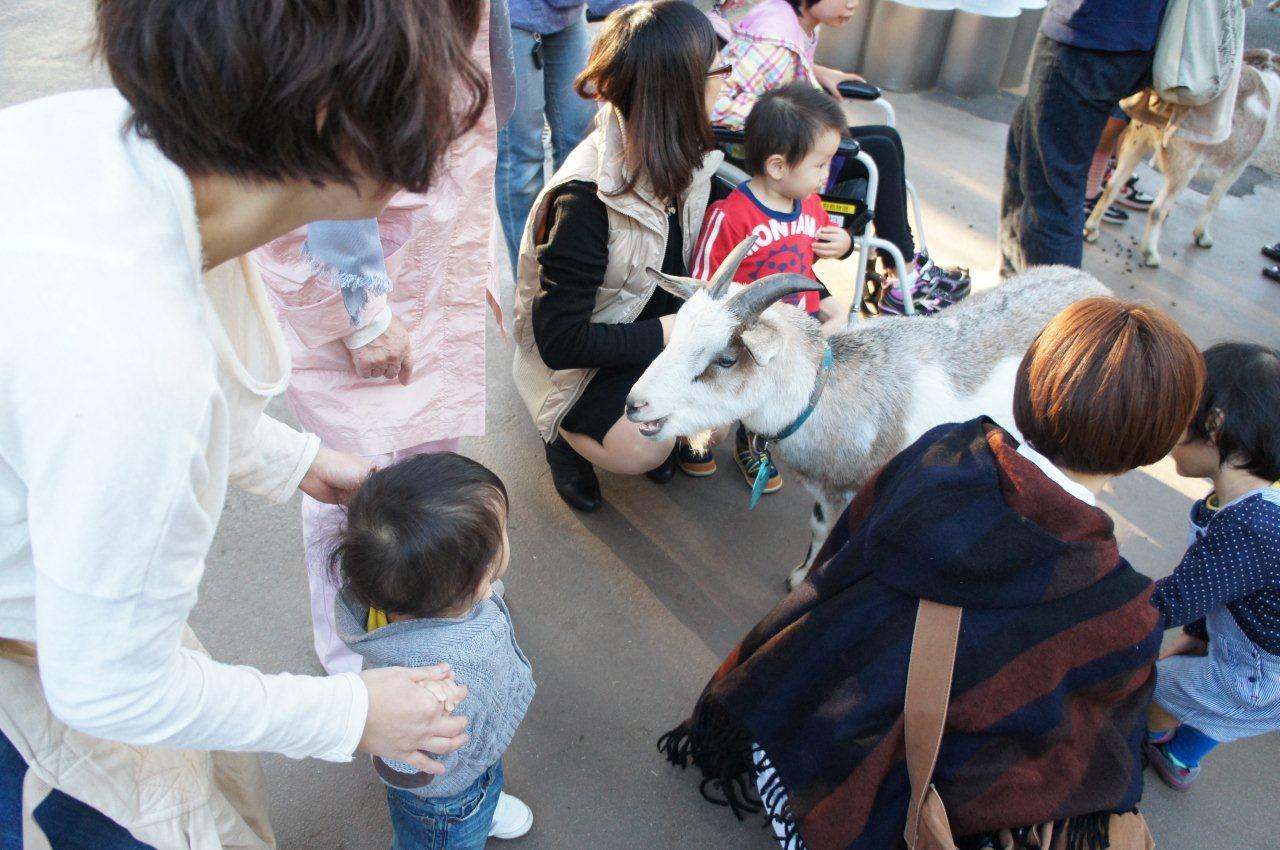 動物園デビュー!_e0253026_021674.jpg