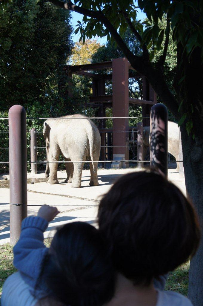動物園デビュー!_e0253026_092494.jpg
