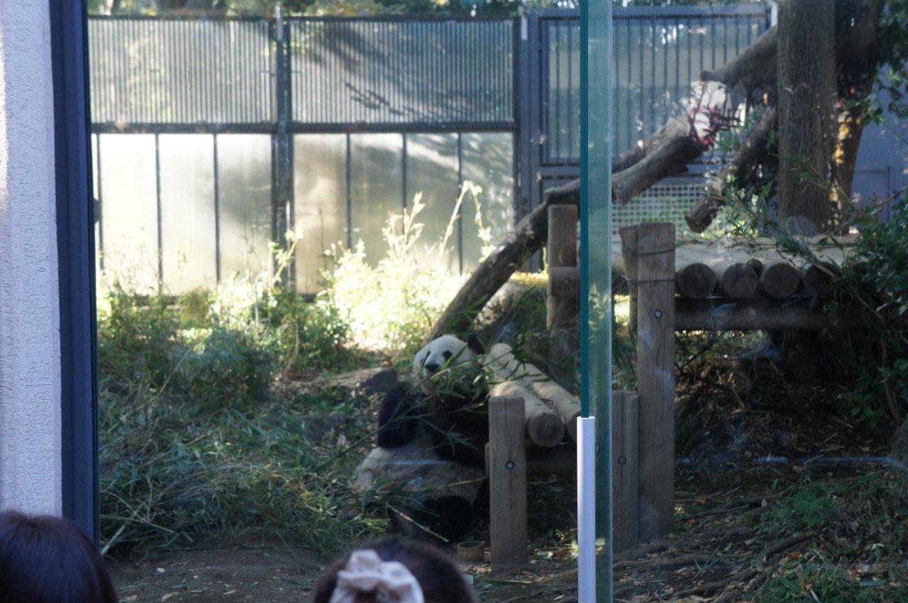 動物園デビュー!_e0253026_095543.jpg