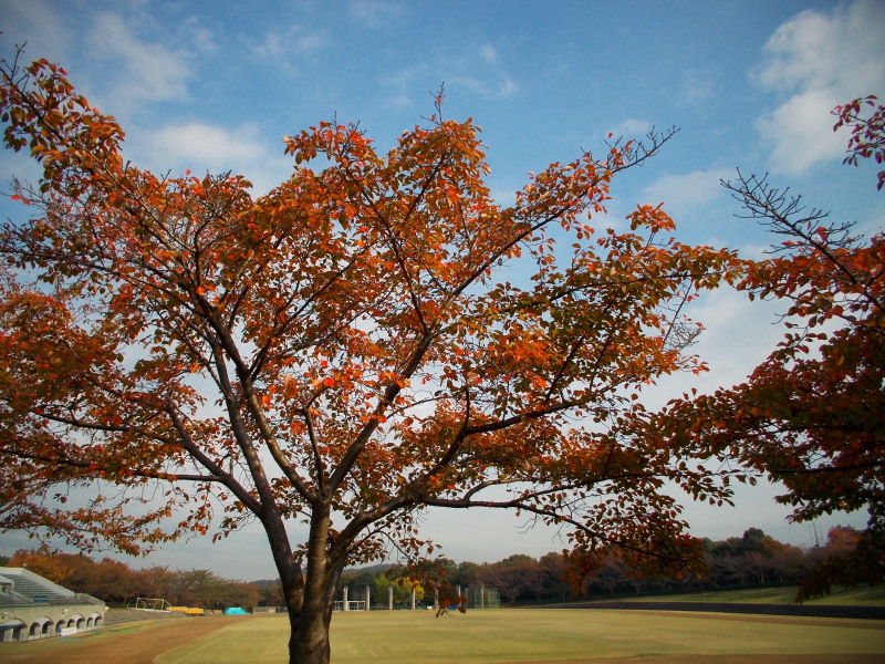 c0109827_2001718.jpg