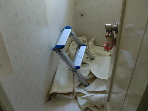 廿日市市 O様邸・トイレ改修_d0125228_3241713.jpg