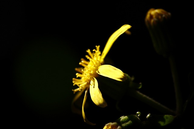 a0045932_21048.jpg