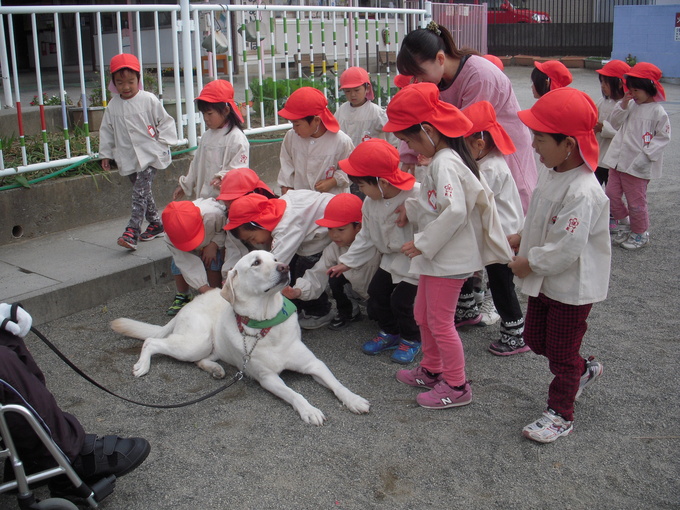 セラピー活動（敷島保育園）つづき_c0114833_191723.jpg