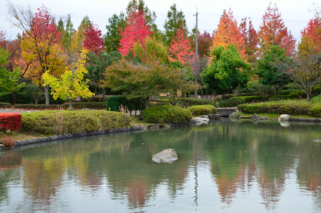 松任グリーンパークの紅葉_e0055138_23114743.jpg