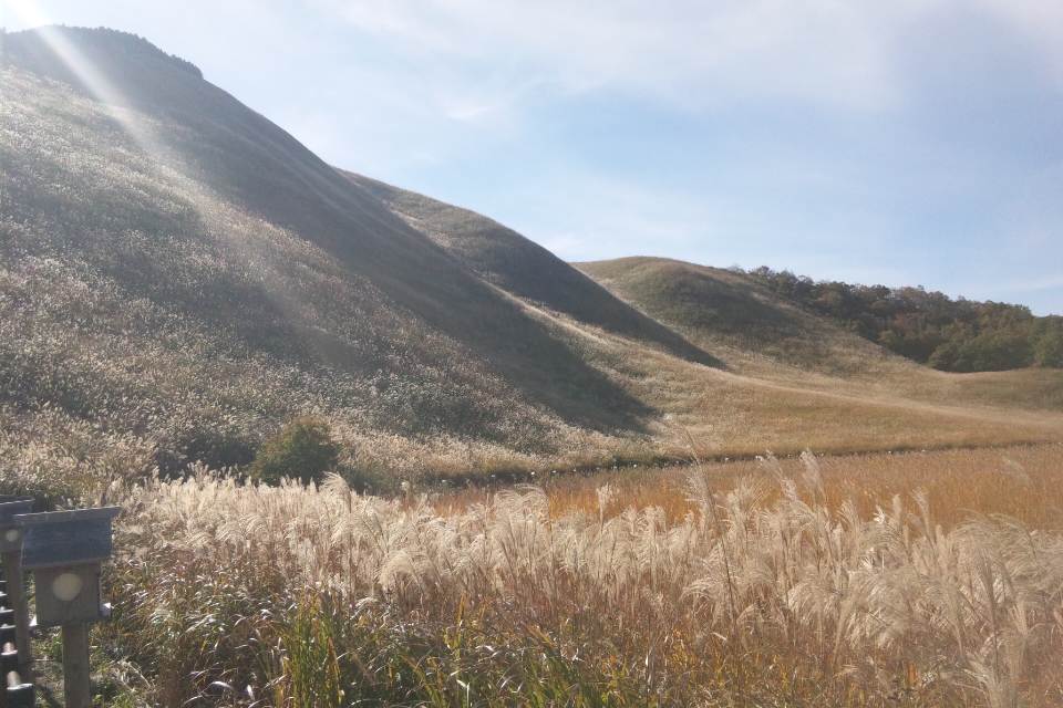 b0102639_04397.jpg