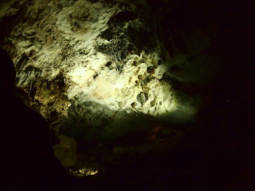 e0022839_21425157.jpg