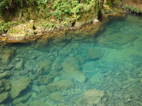 e0022839_2191417.jpg