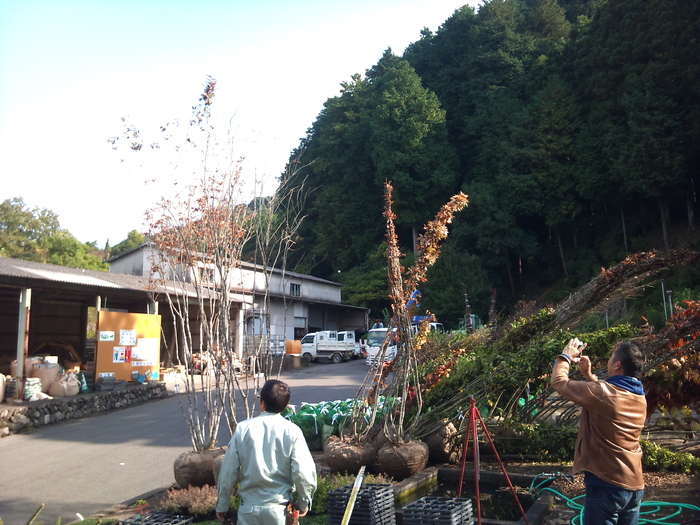 田主丸へ・・・・_a0124843_180239.jpg