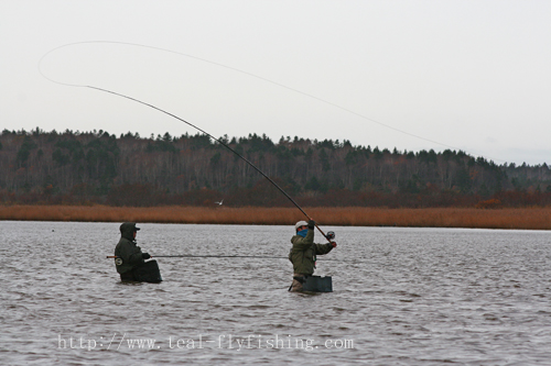 北海道 イトウ釣りツアーのご報告 Fly Fishing Total Support Teal 北海道 イトウ釣りツアーのご報告 Fly Fishing Total Support Teal