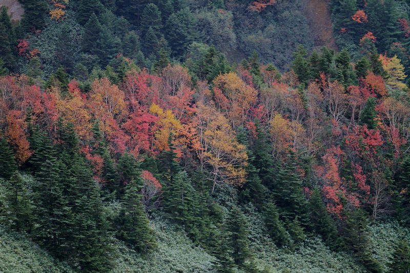 草津･志賀･野沢 2012秋 その5_b0168647_23441572.jpg